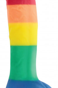 Dildo s prísavkou Rainbow Lust (24,5 cm)