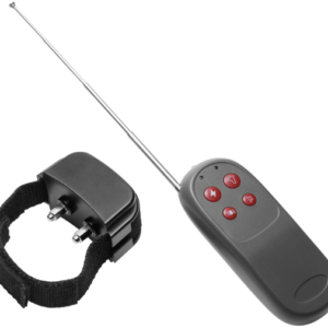 Cock Shock - Electro Stimulation Cockring with Remote Control