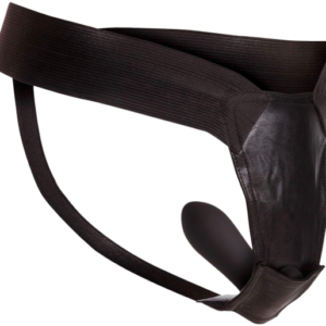 Remote Control Fantasy Panty