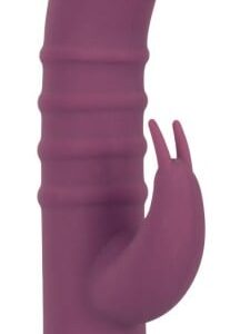 Elegant Series Rabbit Vibe