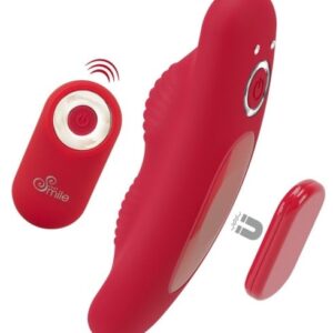 RC Panty VIbrator