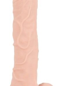 Dildo with a Suction