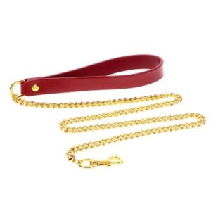Taboom Bondage in Luxury Chain Leash