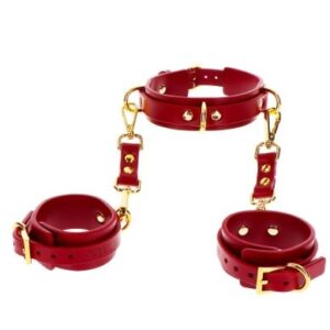 Taboom Bondage in Luxury D-Ring Collar and Wrist Cuffs