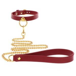 Taboom Bondage in Luxury O-Ring Collar and Chain Leash
