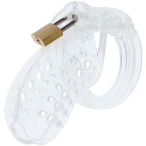 Hidden Desire Extreme Chastity Cock Cage Acrylic