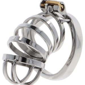 Hidden Desire Extreme Chastity Cock Cage Metal