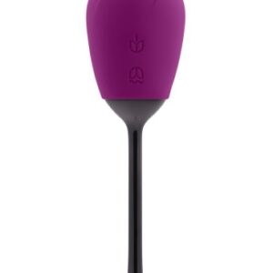 Playboy PLAYBOY PETAL